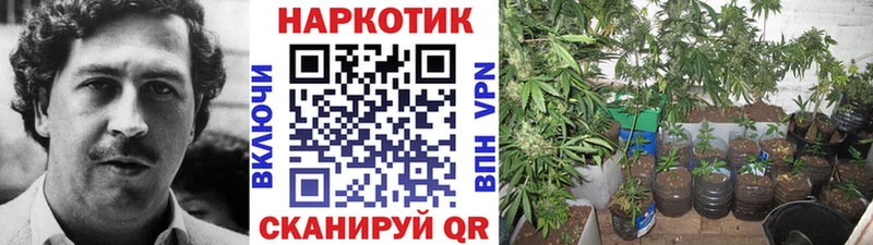 Купить наркотик аптеки Котельники МАРИХУАНА COCAIN МЕФ