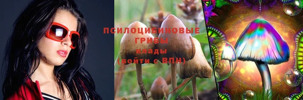 бошки Алзамай