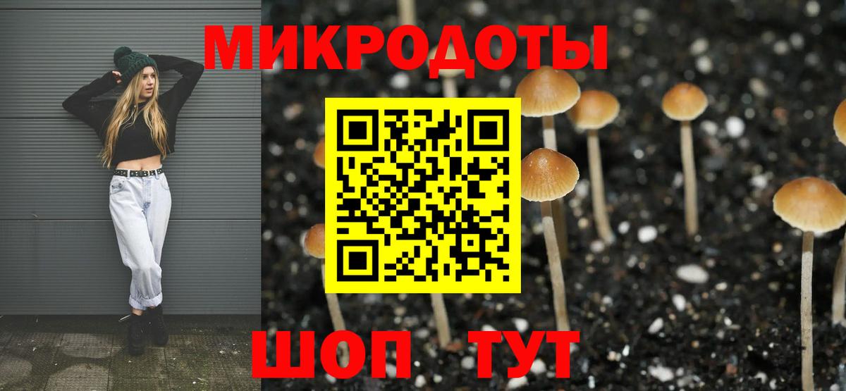 цены   Вход с VPN  Котельники  Псилоцибиновые грибы MAGIC MUSHROOMS 