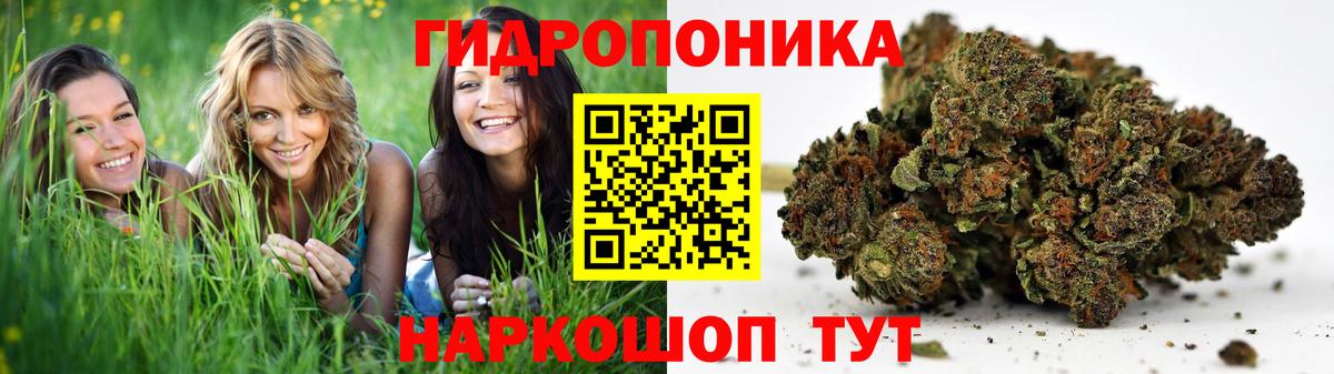 Каннабис индика Котельники